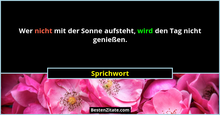 Wer nicht mit der Sonne aufsteht, wird den Tag nicht genießen.... - Sprichwort