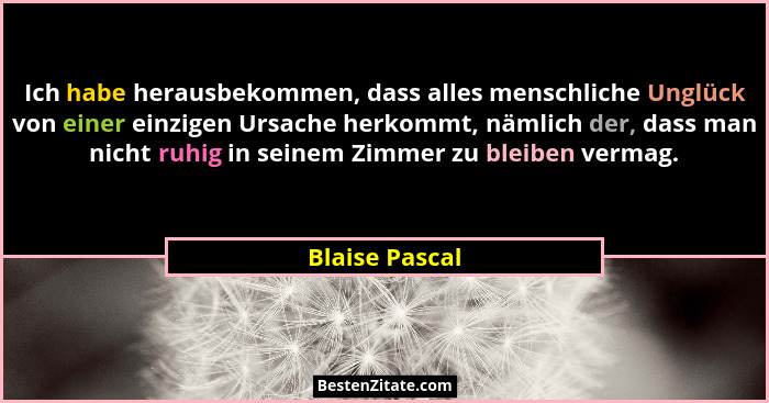 Ich habe herausbekommen, dass alles menschliche Unglück von einer einzigen Ursache herkommt, nämlich der, dass man nicht ruhig in sein... - Blaise Pascal