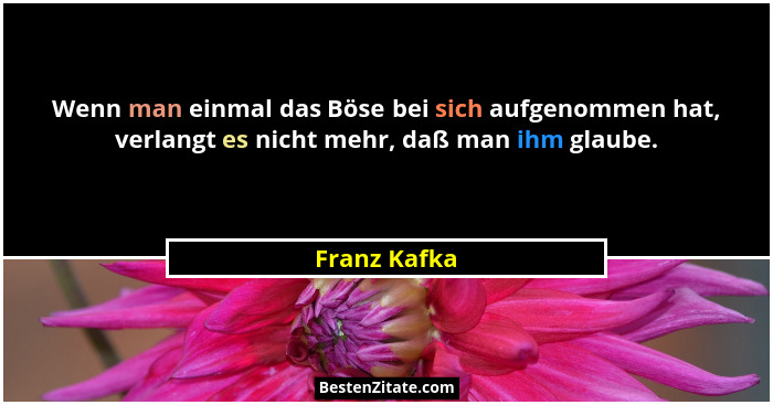 Wenn man einmal das Böse bei sich aufgenommen hat, verlangt es nicht mehr, daß man ihm glaube.... - Franz Kafka
