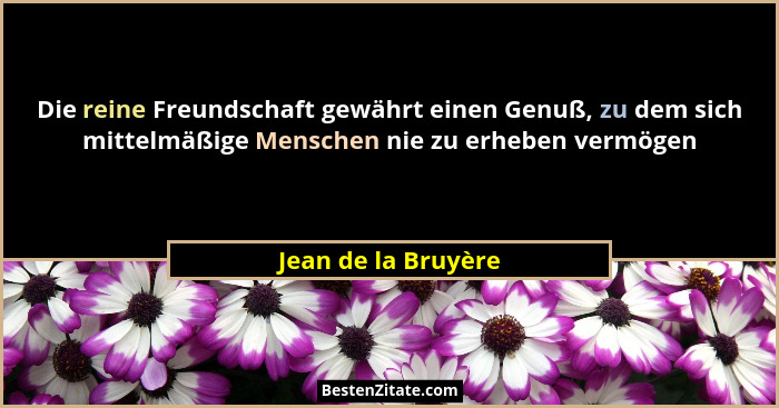 Die reine Freundschaft gewährt einen Genuß, zu dem sich mittelmäßige Menschen nie zu erheben vermögen... - Jean de la Bruyère