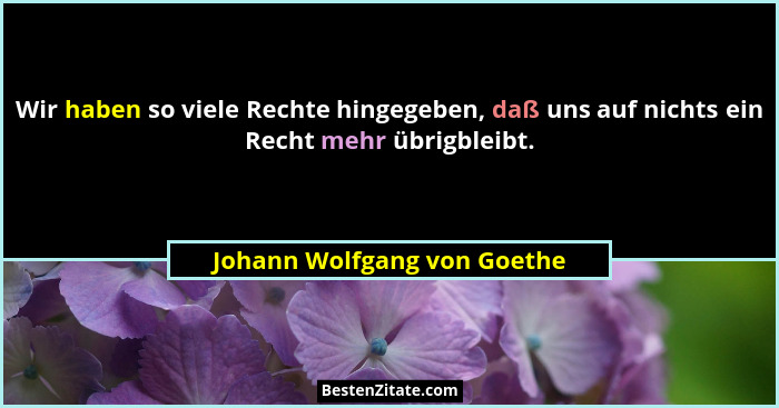 Wir haben so viele Rechte hingegeben, daß uns auf nichts ein Recht mehr übrigbleibt.... - Johann Wolfgang von Goethe