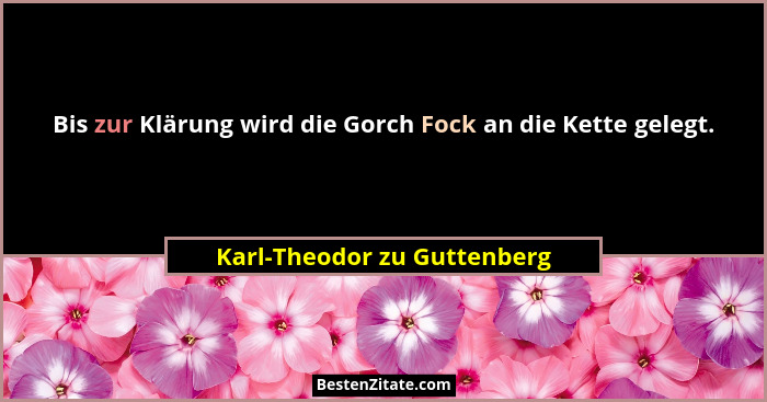Bis zur Klärung wird die Gorch Fock an die Kette gelegt.... - Karl-Theodor zu Guttenberg