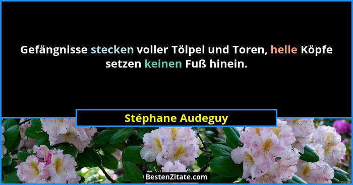 Gefängnisse stecken voller Tölpel und Toren, helle Köpfe setzen keinen Fuß hinein.... - Stéphane Audeguy