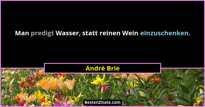 Man predigt Wasser, statt reinen Wein einzuschenken.... - André Brie