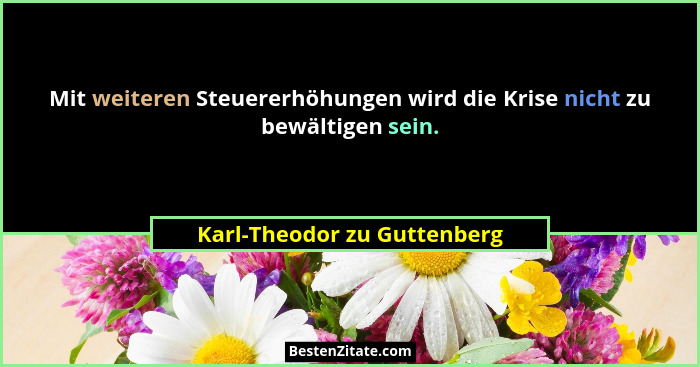 Mit weiteren Steuererhöhungen wird die Krise nicht zu bewältigen sein.... - Karl-Theodor zu Guttenberg