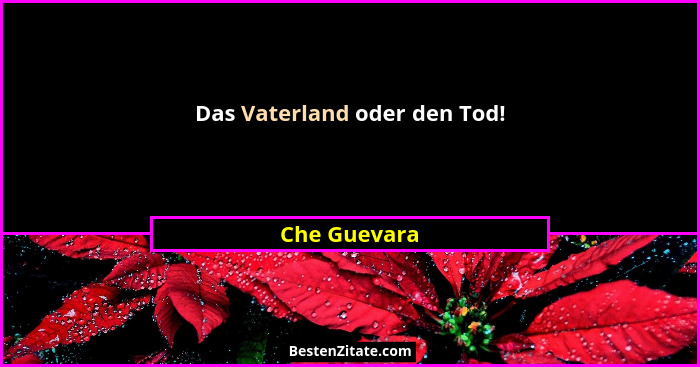 Das Vaterland oder den Tod!... - Che Guevara