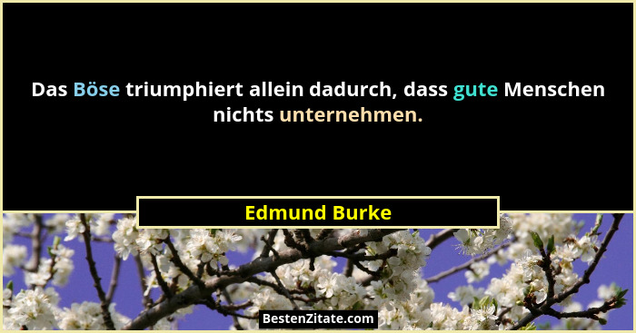 Das Böse triumphiert allein dadurch, dass gute Menschen nichts unternehmen.... - Edmund Burke
