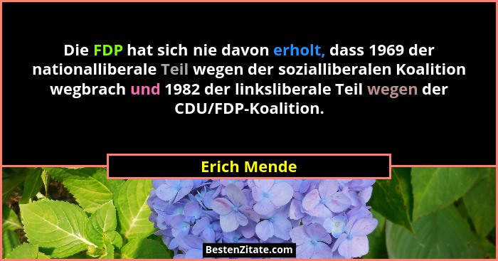 Die FDP hat sich nie davon erholt, dass 1969 der nationalliberale Teil wegen der sozialliberalen Koalition wegbrach und 1982 der linksli... - Erich Mende