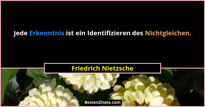 Jede Erkenntnis ist ein Identifizieren des Nichtgleichen.... - Friedrich Nietzsche