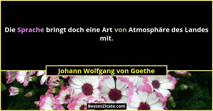 Die Sprache bringt doch eine Art von Atmosphäre des Landes mit.... - Johann Wolfgang von Goethe