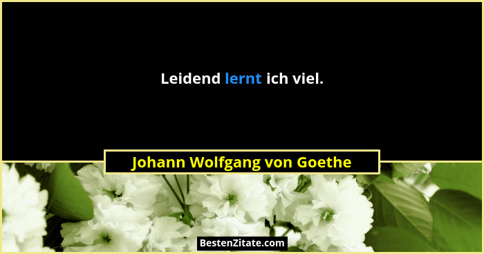 Leidend lernt ich viel.... - Johann Wolfgang von Goethe