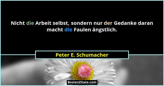 Nicht die Arbeit selbst, sondern nur der Gedanke daran macht die Faulen ängstlich.... - Peter E. Schumacher