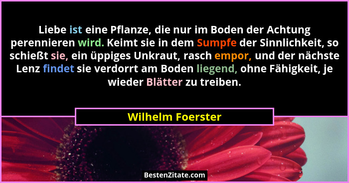 Liebe ist eine Pflanze, die nur im Boden der Achtung perennieren wird. Keimt sie in dem Sumpfe der Sinnlichkeit, so schießt sie, ei... - Wilhelm Foerster