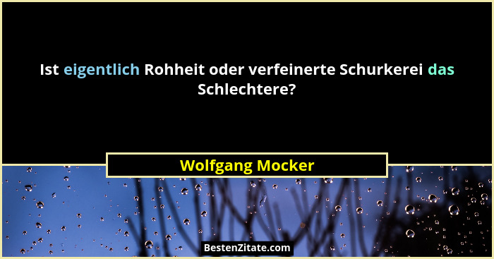 Ist eigentlich Rohheit oder verfeinerte Schurkerei das Schlechtere?... - Wolfgang Mocker