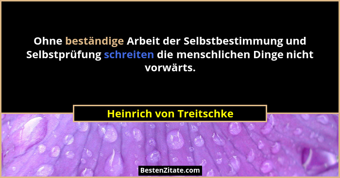 Ohne beständige Arbeit der Selbstbestimmung und Selbstprüfung schreiten die menschlichen Dinge nicht vorwärts.... - Heinrich von Treitschke