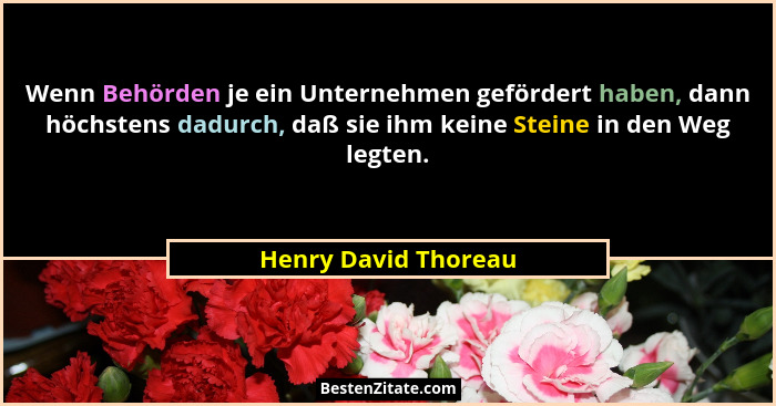 Wenn Behörden je ein Unternehmen gefördert haben, dann höchstens dadurch, daß sie ihm keine Steine in den Weg legten.... - Henry David Thoreau