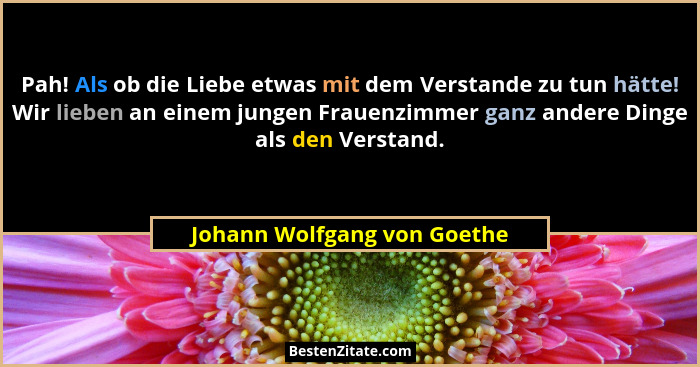 Pah! Als ob die Liebe etwas mit dem Verstande zu tun hätte! Wir lieben an einem jungen Frauenzimmer ganz andere Dinge als... - Johann Wolfgang von Goethe