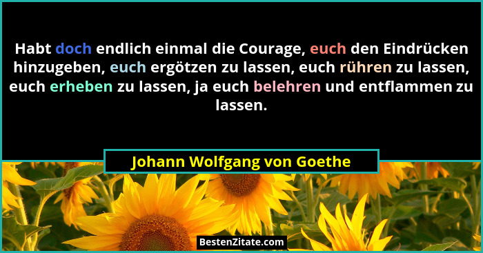 Johann Wolfgang Von Goethe Habt Doch Endlich Einmal Die Co