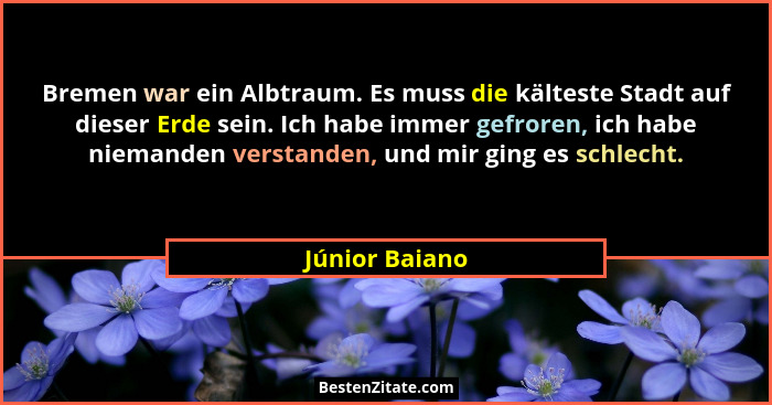 Bremen war ein Albtraum. Es muss die kälteste Stadt auf dieser Erde sein. Ich habe immer gefroren, ich habe niemanden verstanden, und... - Júnior Baiano