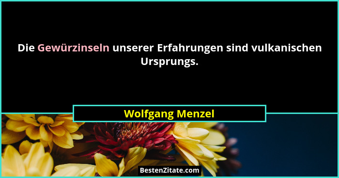 Die Gewürzinseln unserer Erfahrungen sind vulkanischen Ursprungs.... - Wolfgang Menzel