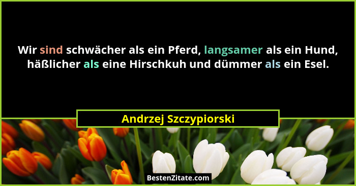 Wir sind schwächer als ein Pferd, langsamer als ein Hund, häßlicher als eine Hirschkuh und dümmer als ein Esel.... - Andrzej Szczypiorski