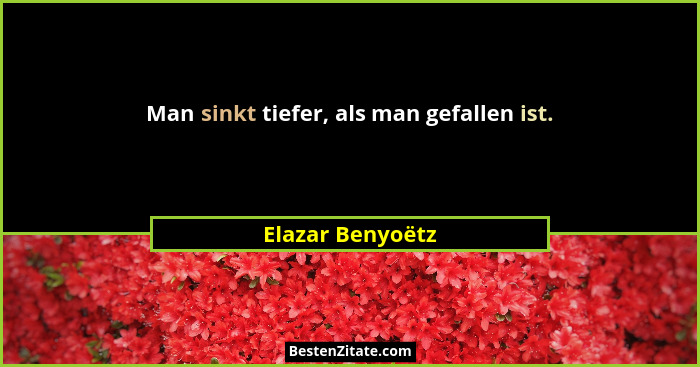 Man sinkt tiefer, als man gefallen ist.... - Elazar Benyoëtz