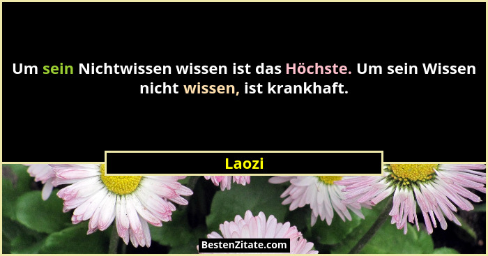 Um sein Nichtwissen wissen ist das Höchste. Um sein Wissen nicht wissen, ist krankhaft.... - Laozi