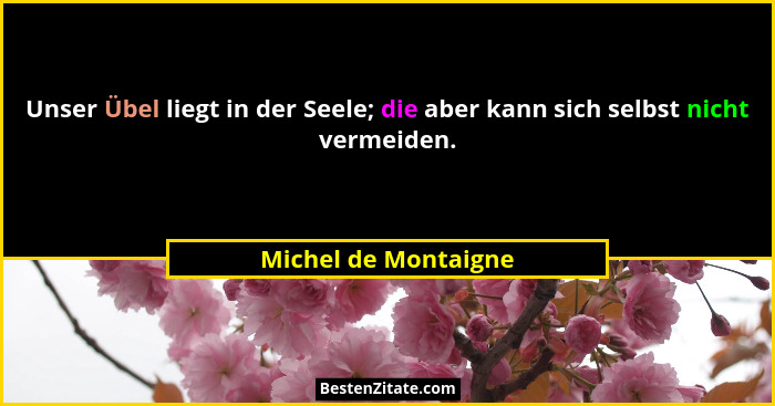 Unser Übel liegt in der Seele; die aber kann sich selbst nicht vermeiden.... - Michel de Montaigne