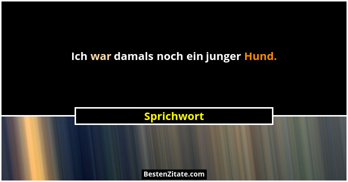 Ich war damals noch ein junger Hund.... - Sprichwort