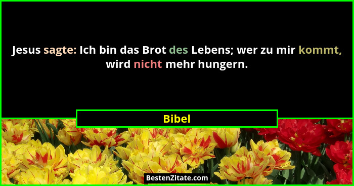 Jesus sagte: Ich bin das Brot des Lebens; wer zu mir kommt, wird nicht mehr hungern.... - Bibel