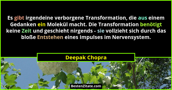 Es gibt irgendeine verborgene Transformation, die aus einem Gedanken ein Molekül macht. Die Transformation benötigt keine Zeit und ges... - Deepak Chopra