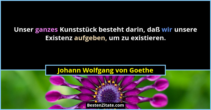 Unser ganzes Kunststück besteht darin, daß wir unsere Existenz aufgeben, um zu existieren.... - Johann Wolfgang von Goethe