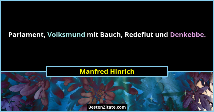 Parlament, Volksmund mit Bauch, Redeflut und Denkebbe.... - Manfred Hinrich