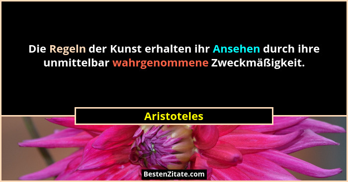 Die Regeln der Kunst erhalten ihr Ansehen durch ihre unmittelbar wahrgenommene Zweckmäßigkeit.... - Aristoteles
