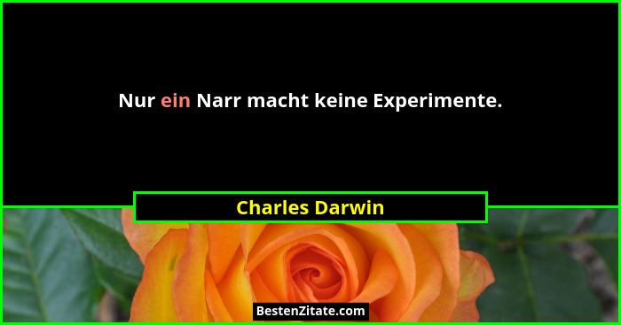 Nur ein Narr macht keine Experimente.... - Charles Darwin