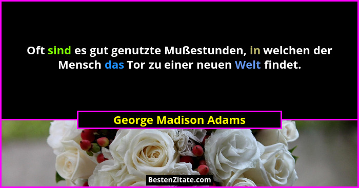 Oft sind es gut genutzte Mußestunden, in welchen der Mensch das Tor zu einer neuen Welt findet.... - George Madison Adams