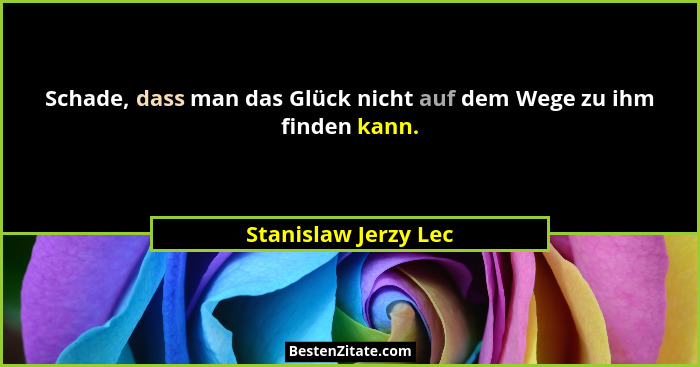 Schade, dass man das Glück nicht auf dem Wege zu ihm finden kann.... - Stanislaw Jerzy Lec