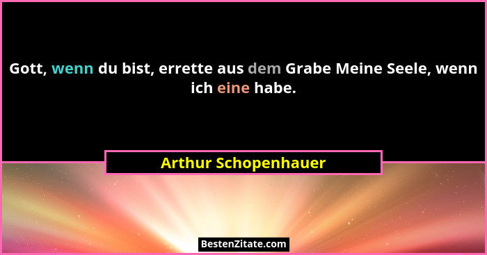 Gott, wenn du bist, errette aus dem Grabe Meine Seele, wenn ich eine habe.... - Arthur Schopenhauer