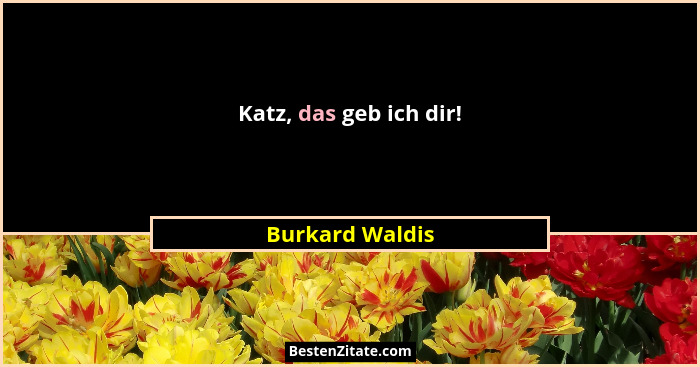 Katz, das geb ich dir!... - Burkard Waldis