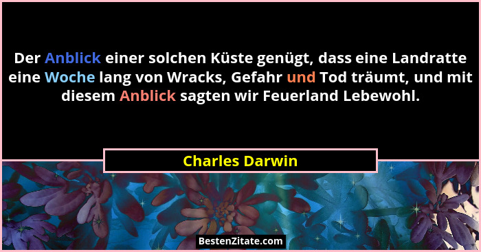 Der Anblick einer solchen Küste genügt, dass eine Landratte eine Woche lang von Wracks, Gefahr und Tod träumt, und mit diesem Anblick... - Charles Darwin
