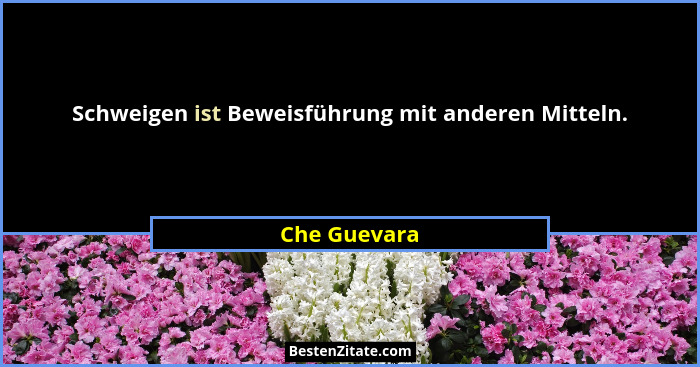 Schweigen ist Beweisführung mit anderen Mitteln.... - Che Guevara