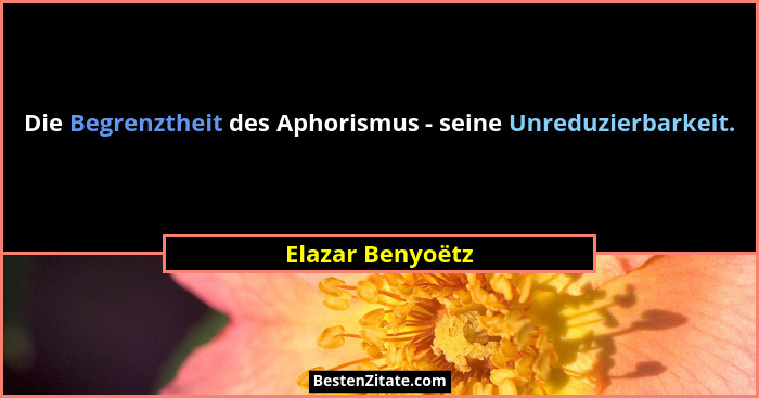 Die Begrenztheit des Aphorismus - seine Unreduzierbarkeit.... - Elazar Benyoëtz