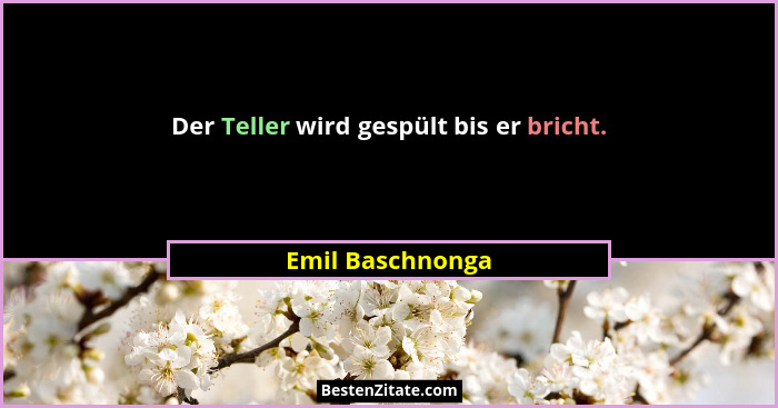 Der Teller wird gespült bis er bricht.... - Emil Baschnonga