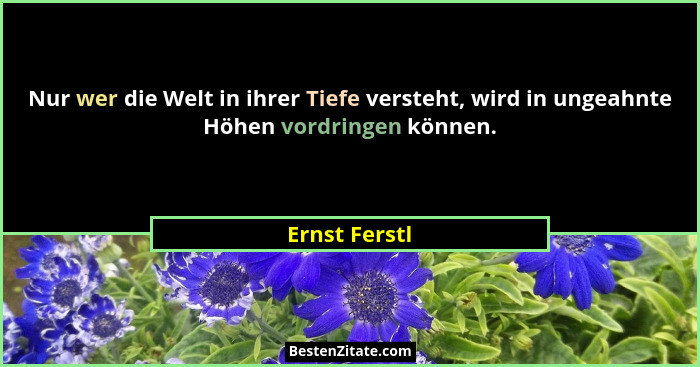 Nur wer die Welt in ihrer Tiefe versteht, wird in ungeahnte Höhen vordringen können.... - Ernst Ferstl