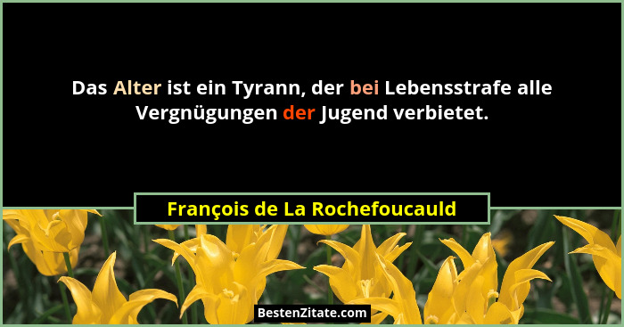 Das Alter ist ein Tyrann, der bei Lebensstrafe alle Vergnügungen der Jugend verbietet.... - François de La Rochefoucauld