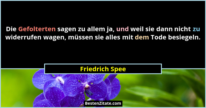 Die Gefolterten sagen zu allem ja, und weil sie dann nicht zu widerrufen wagen, müssen sie alles mit dem Tode besiegeln.... - Friedrich Spee
