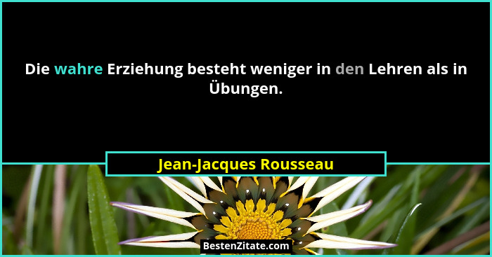 Die wahre Erziehung besteht weniger in den Lehren als in Übungen.... - Jean-Jacques Rousseau