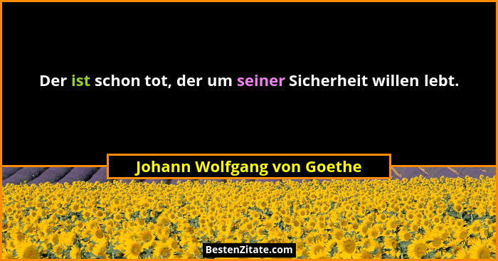Der ist schon tot, der um seiner Sicherheit willen lebt.... - Johann Wolfgang von Goethe