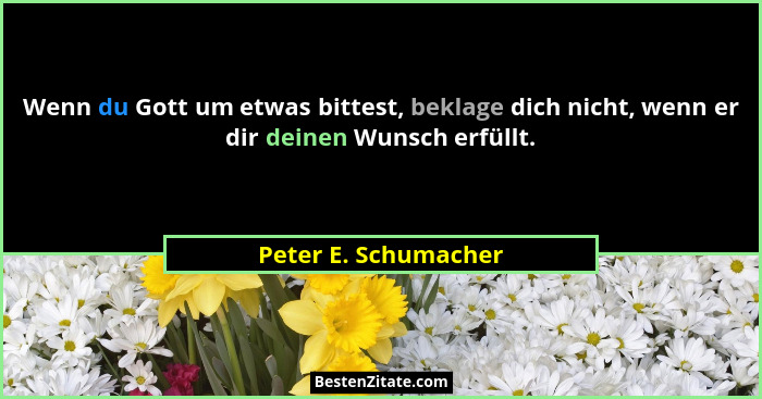 Wenn du Gott um etwas bittest, beklage dich nicht, wenn er dir deinen Wunsch erfüllt.... - Peter E. Schumacher
