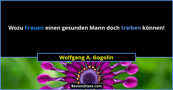 Wozu Frauen einen gesunden Mann doch treiben können!... - Wolfgang A. Gogolin